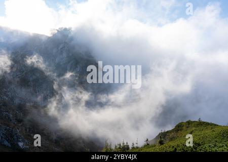 Berggipfel, umgeben von dickem Nebel mit üppig grünen Sträuchern und felsigen Hängen. Stockfoto