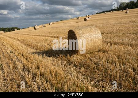 Runde Heuballen auf dem Weizenfeld, Hurstbourne Tarrant, Hampshire, England, Vereinigtes Königreich, Europa Stockfoto