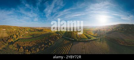 Bunte Weinberge Felder von oben bei Sonnenuntergang im Herbst. Blick auf Enzersfeld im österreichischen Weinviertel. Stockfoto