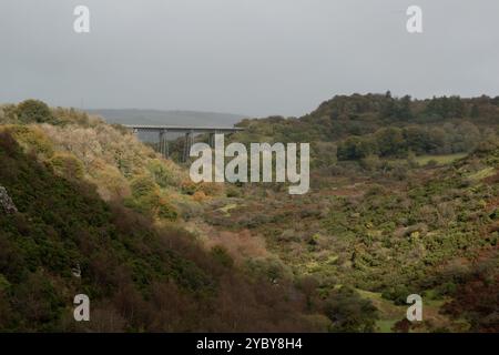 Meldon Viaduct, Devon, England Stockfoto