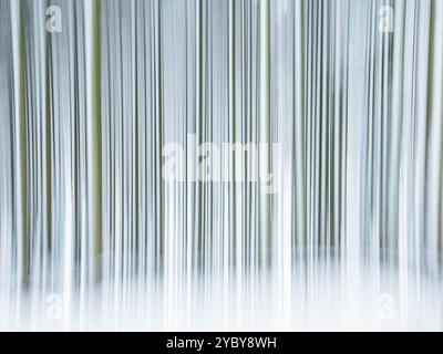 Dieser abstrakte Winterwald zeigt hohe Bäume in Schnee und schafft eine ruhige Atmosphäre. Der sanfte Schneefall verstärkt die ruhige Schönheit von t Stockfoto