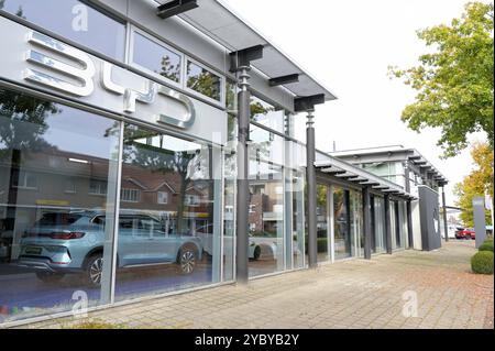 DEUTSCHLAND, Sittensen, Autohaus für chinesische Elektroautos BYD / DEUTSCHLAND, Sittensen, Autohaus für chinesische Elektroautos BYD, Made in China Stockfoto