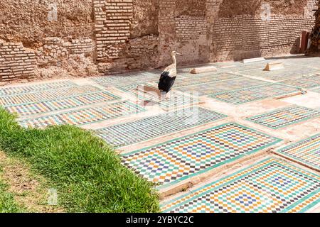 Saadische Gräber in der Kasbah von Marrakesch. Storch. Stockfoto