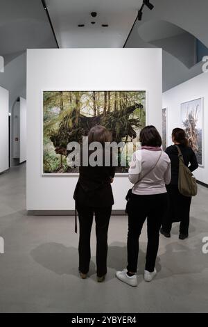 Besucher der Ausstellung in der Gallerie d'Italia in Turin über Mitch Epstein und Aldo Biasucci Stockfoto