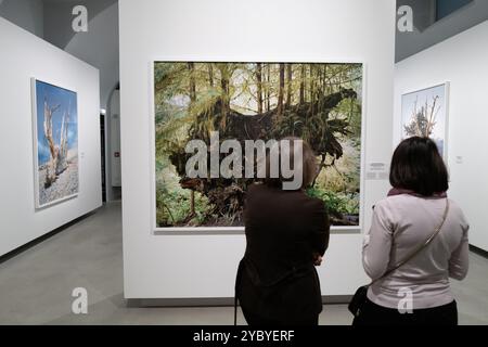 Besucher der Ausstellung in der Gallerie d'Italia in Turin über Mitch Epstein und Aldo Biasucci Stockfoto