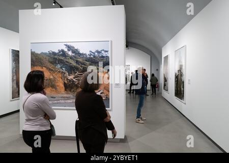 Besucher der Ausstellung in der Gallerie d'Italia in Turin über Mitch Epstein und Aldo Biasucci Stockfoto