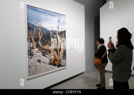 Besucher der Ausstellung in der Gallerie d'Italia in Turin über Mitch Epstein und Aldo Biasucci Stockfoto