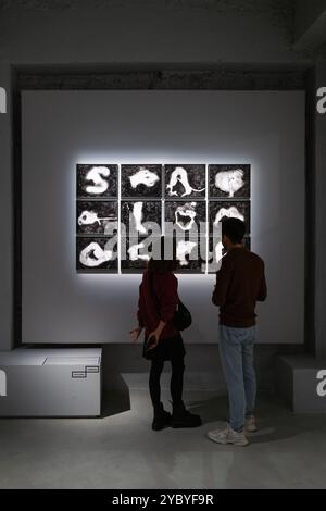 Besucher der Ausstellung in der Gallerie d'Italia in Turin über Mitch Epstein und Aldo Biasucci Stockfoto