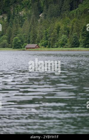 Idyllischer Leopoldssteinersee mit einer Holzhütte am Fuße steiler Kalkfelsen und dichtem Wald, Österreich Stockfoto