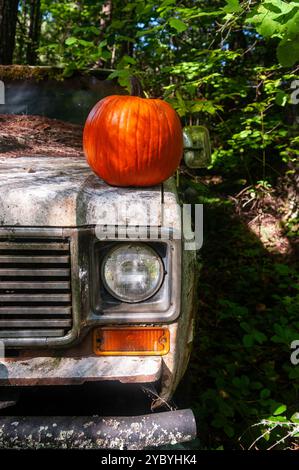 Vorderansicht eines Kürbis, der auf der Motorhaube eines verlassenen Pick-up-Trucks im Wald sitzt Stockfoto