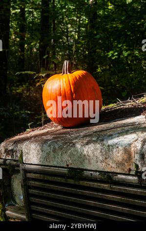 Die Motorhaube eines verlassenen Trucks mit einem Kürbis auf der Motorhaube. Stockfoto