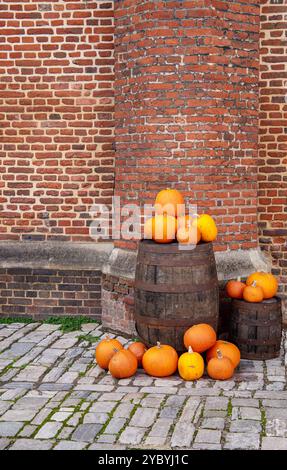 Eine Gruppe von Kürbissen, die auf Holzfässern vor einer rustikalen Ziegelmauer auf einem Pflastersteinpflaster angeordnet sind, erwecken eine herbstliche Atmosphäre Stockfoto