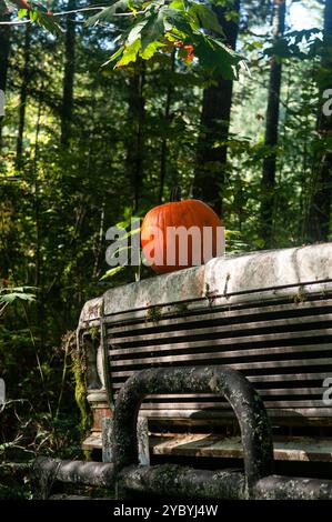 Ein Kürbis auf der Motorhaube eines verlassenen Pick-up-Trucks im Wald. Stockfoto