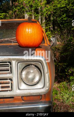 Ein Kürbis auf der Motorhaube eines verlassenen Pick-up-Trucks im Wald. Stockfoto