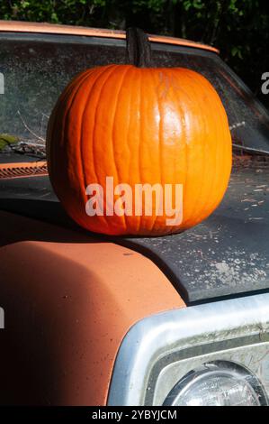 Ein runder orangefarbener Kürbis, die Motorhaube eines orangen Pickup-Trucks. Stockfoto