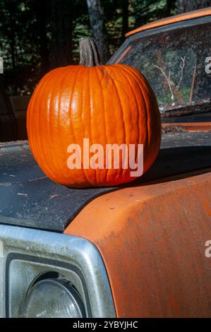 Ein orangefarbener Kürbis sitzt auf der Motorhaube und orange und schwarz abgebrochene Pickup. Stockfoto