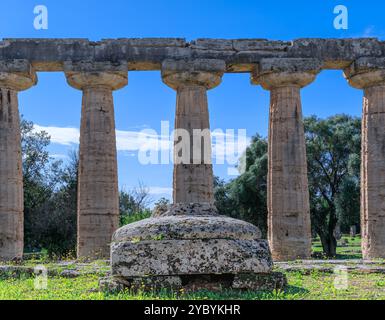 Tempel der Hera in Paestum in Italien: Blick über die Cella. Stockfoto