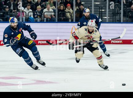 Kampf um den Puck / Zweikampf zwischen Tobias Rieder (EHC Red Bull Muenchen, #8) und Hayden Shaw (Nürnberg Ice Tigers, #82). GER, EHC Red Bull München gegen Nürnberg Ice Tigers, Eishockey, DEL, 11. Spieltag, Saison 2024/2025, 20.10.2024. Foto: Eibner-Pressefoto/Heike Feiner Stockfoto