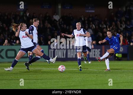 Chelsea's Guro Reiten (rechts) versucht einen Torschuss während des Spiels der Barclays Women's Super League in Kingsmeadow, London. Bilddatum: Sonntag, 20. Oktober 2024. Stockfoto