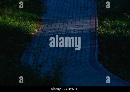 Sunlit Harmony: Straßenboden und Gras im Park beleuchtet von Sonnenlicht Stockfoto