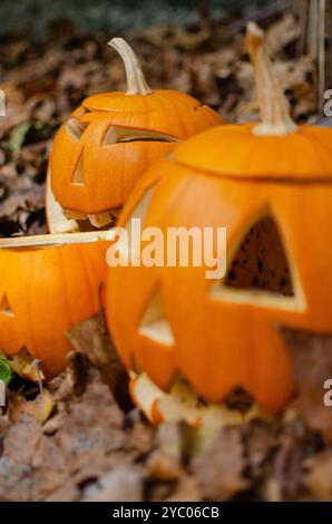 Selektiver Fokus, drei geschnitzte Kürbisse zur Dekoration an Halloween. Jack o Laterne halloween-Symbol Stockfoto