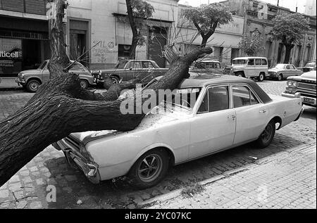 Zerstoßenes Auto von einem umgestürzten Baum in Buenos Aires, Argentinien, 29. Januar 1974. Stockfoto