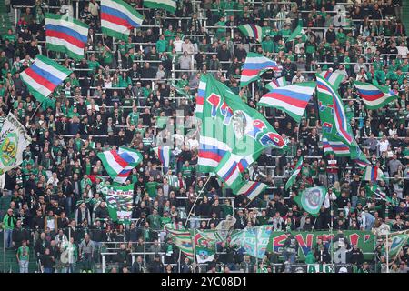 Wien, Österreich. Oktober 2024. WIEN, ÖSTERREICH - 20. OKTOBER: SK Rapid Fans während des Admiral-Bundesliga-Spiels zwischen SK Rapid und TSV Egger Glas Hartberg im Allianz Stadion am 20. Oktober 2024 in Wien.241020 SEPA 29 050 - 20241020 PD17428 Credit: APA-PictureDesk/Alamy Live News Stockfoto