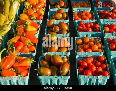 Frische, bunte Kirschtomaten und Paprika auf einem Markt im Freien Stockfoto