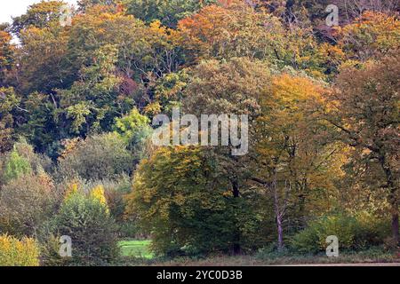 Kulturlandschaften in Nordrhein-Westfalen eine herbstliche Kulturlandschaft mit Wiesen, Weiden und Wald sowie landwirtschaftliche Nutzflächen weit außerhalb des Ruhrgebiets zwischen Velbert und Wuppertal Nordrhein-Westfalen Deutschland Bergisches Land *** Kulturlandschaften in Nordrhein-Westfalen eine herbstliche Kulturlandschaft mit Wiesen, Weiden und Wald sowie landwirtschaftlichen Flächen weit außerhalb des Ruhrgebiets zwischen Velbert und Wuppertal Velbert Wuppertal Nordrhein-Westfalen Nordrhein-Westfalen Stockfoto