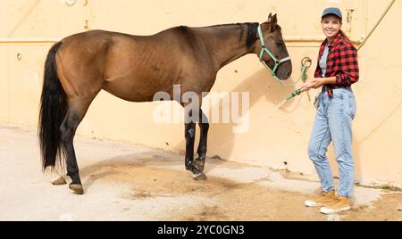 Weibliche Angestellte wäscht das Pferd mit Wasser aus dem Schlauch und wäscht das Tier nach dem Gehen. Stockfoto