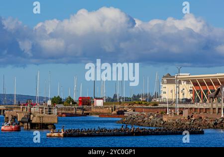 Charlottetown Uferpromenade, Prince Edward Island, Kanada Stockfoto