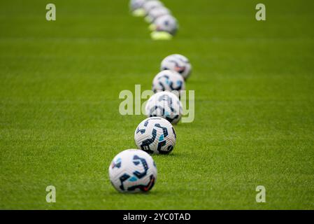 Paris, Frankreich. Oktober 2024. Der offizielle Ball vor der französischen Meisterschaft der Frauen, Arkema Premier Ligue Fußballspiel zwischen Paris FC und Olympique Lyonnais am 20. Oktober 2024 im Sebastien Charlety Stadion in Paris, Frankreich - Foto Melanie Laurent/A2M Sport Consulting/DPPI Credit: DPPI Media/Alamy Live News Stockfoto