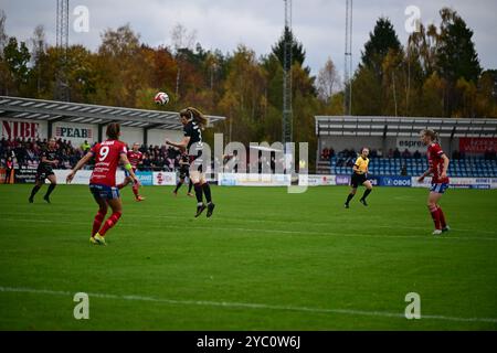 Vittsjö, Skåne, Schweden. Oktober 2024. Vittsjö GIK vs Piteå IF. Stockfoto