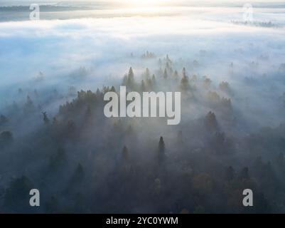 Am frühen Morgen driftet Nebel durch das Willamette Valley in West Linn, Oregon. Diese malerische Gegend liegt südlich der Stadt Portland im Pazifischen Nordwesten. Stockfoto