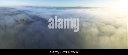 Am frühen Morgen driftet Nebel durch das Willamette Valley in West Linn, Oregon. Diese malerische Gegend liegt südlich der Stadt Portland im Pazifischen Nordwesten. Stockfoto