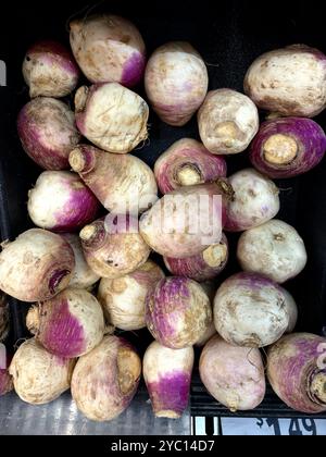 Radieschen auf einem Markt Stockfoto