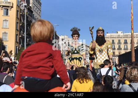 Barcelona, Spanien. Januar 2014. Giganten (Giganten) werden während des hundertjährigen und historischen Giants of Catalonia Festivals in Barcelona gesehen. (Foto: Jorge Sanz/SOPA Images/SIPA USA) Credit: SIPA USA/Alamy Live News Stockfoto