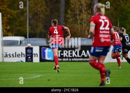 Vittsjö, Skåne, Schweden. Oktober 2024. Vittsjö GIK vs Piteå IF. Stockfoto