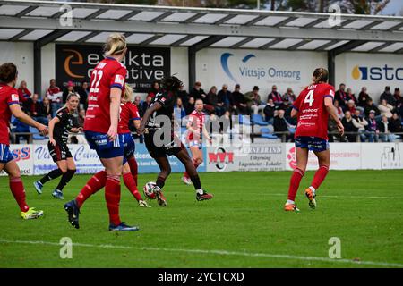 Vittsjö, Skåne, Schweden. Oktober 2024. Vittsjö GIK vs Piteå IF. Stockfoto