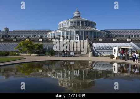 Großes historisches Gewächshaus, das sich in einem Teich spiegelt, Palmenhaus mit Glasfassade, blauer Himmel, Botanischer Garten oder Botanisk Have, Universität, Kopenhagen, Denm Stockfoto