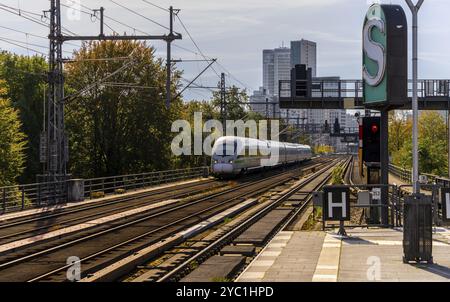 S-Bahnhof Tiergarten mit nah- und Fernzügen, Berlin, Deutschland, Europa Stockfoto