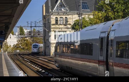 S-Bahnhof Tiergarten mit nah- und Fernzügen, Berlin, Deutschland, Europa Stockfoto