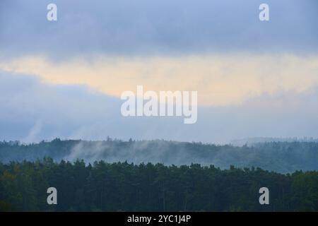 Nebel über einem dichten Wald bei Sonnenaufgang, ruhige Atmosphäre und bewölkter Himmel, Herbst, Eichelsbach, Elsenfeld, Spessart, Bayern, Deutschland, Europa Stockfoto