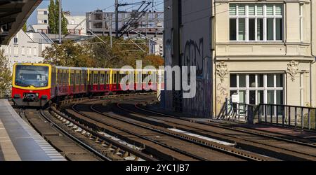 S-Bahnhof Tiergarten mit nah- und Fernzügen, Berlin, Deutschland, Europa Stockfoto