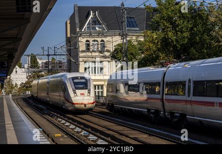 S-Bahnhof Tiergarten mit nah- und Fernzügen, Berlin, Deutschland, Europa Stockfoto