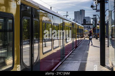 S-Bahnhof Tiergarten mit nah- und Fernzügen, Berlin, Deutschland, Europa Stockfoto