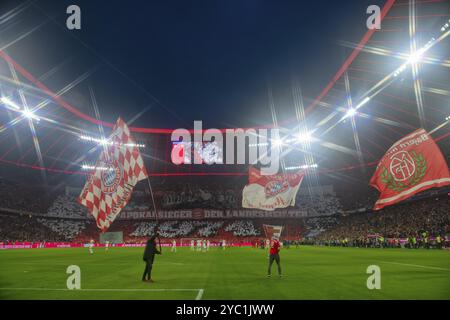 Anzeiger. Choreografie, Chorea, 50. Jahrestag der Europapokalsieger, Flaggenwehen, atmosphärisch, Allianz Arena, beleuchtet, München, Bayern Stockfoto