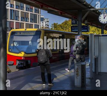 S-Bahnhof Tiergarten mit nah- und Fernzügen, Berlin, Deutschland, Europa Stockfoto