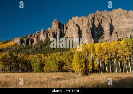 Aspen in voller Farbe vor Klippen und Gipfeln aus vulkanischem Tuff nahe dem Silverjack Lake in den San Juan Mountains von Colorado Stockfoto