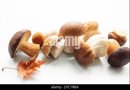 Eine Auswahl an frischen Pilzen in verschiedenen Formen und Größen ruht auf einer weißen Oberfläche, begleitet von einem einzelnen herabfallenden Herbstblatt, das die hervorhebt Stockfoto